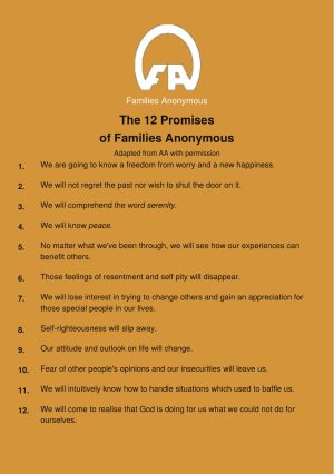 The 12 Promises of FA